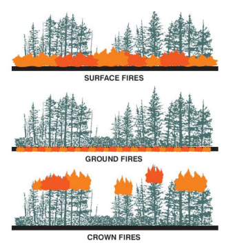 Forest Fire Detection